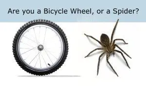 bike wheel or spider