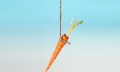 carrot on stick