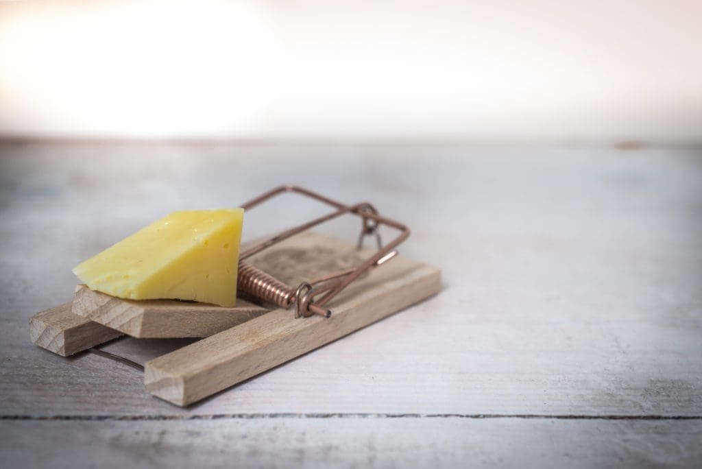 mouse trap cheese device trap 633881