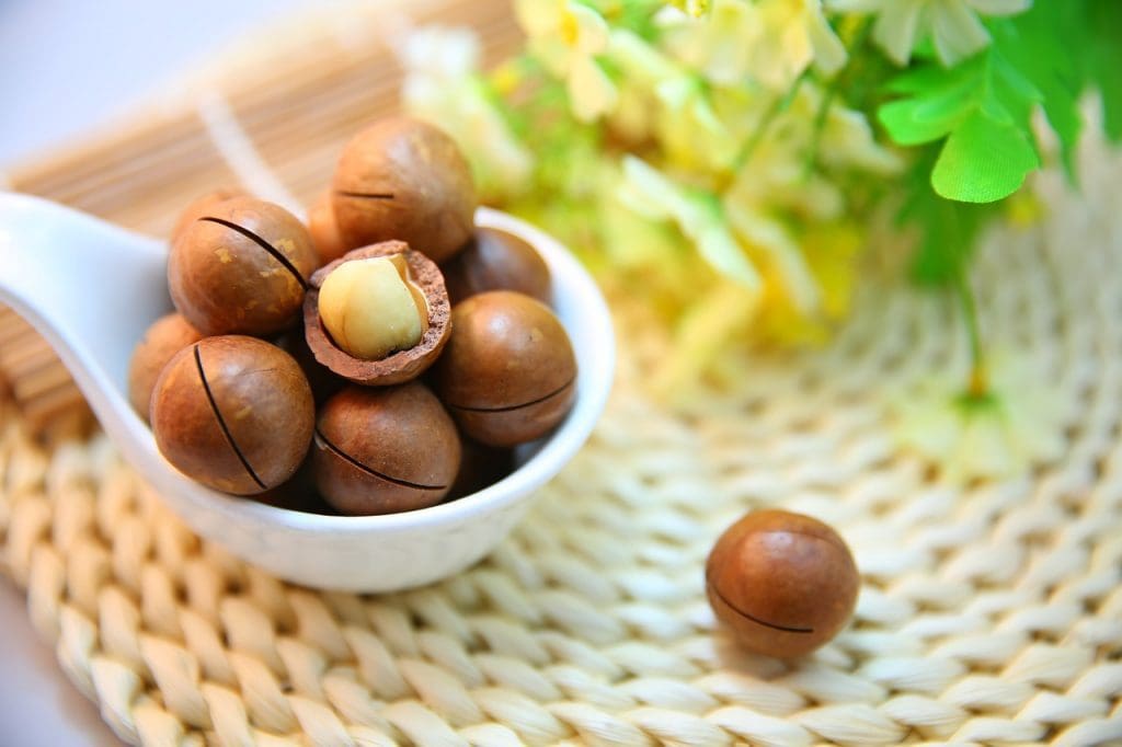 macadamia nuts 1098170 1280